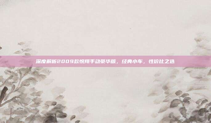 深度解析2009款悦翔手动豪华版，经典小车，性价比之选