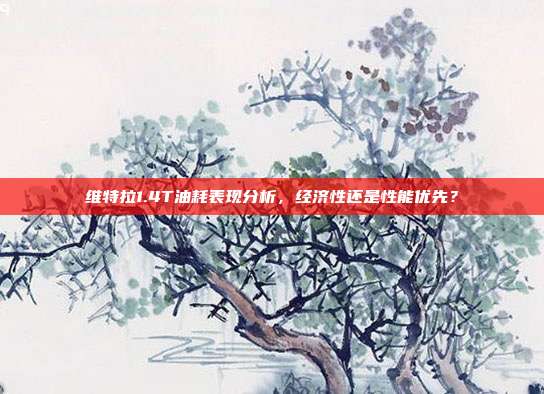 维特拉1.4T油耗表现分析，经济性还是性能优先？