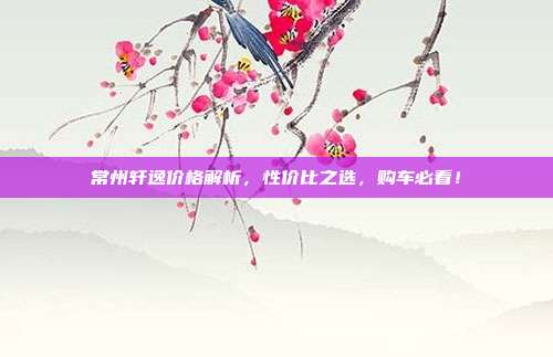 常州轩逸价格解析，性价比之选，购车必看！