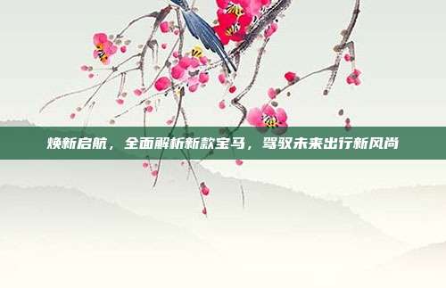 焕新启航，全面解析新款宝马，驾驭未来出行新风尚