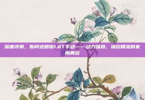 深度评测，斯柯达明锐1.8T手动——动力强劲，操控精准的家用典范