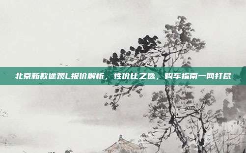 北京新款途观L报价解析，性价比之选，购车指南一网打尽