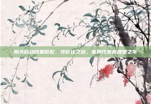 阳光自动挡最低配，性价比之选，家用代步的理想之车