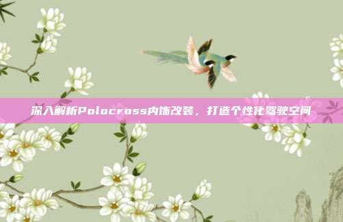 深入解析Polocross内饰改装，打造个性化驾驶空间