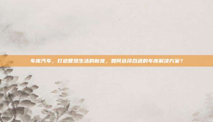 车库汽车，打造智慧生活的新宠，如何选择合适的车库解决方案？