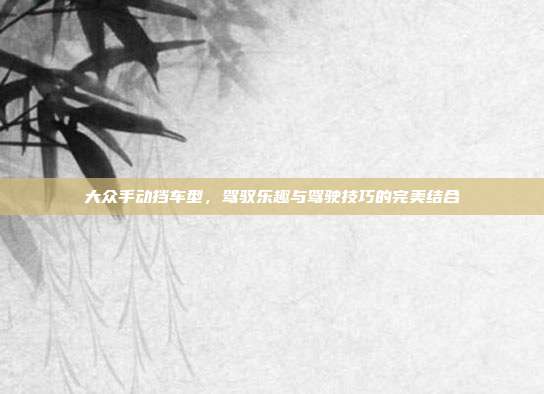 大众手动挡车型，驾驭乐趣与驾驶技巧的完美结合