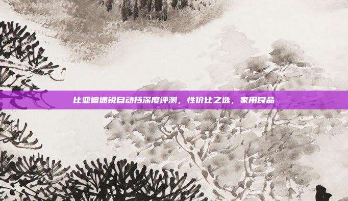 比亚迪速锐自动挡深度评测，性价比之选，家用良品