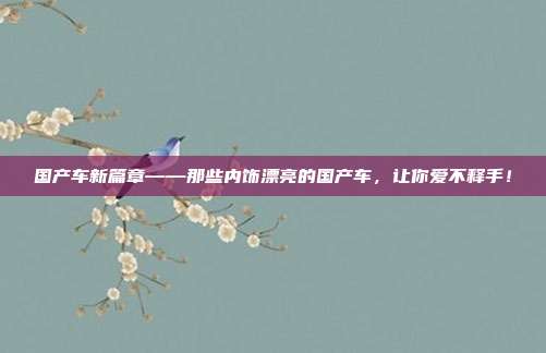 国产车新篇章——那些内饰漂亮的国产车，让你爱不释手！