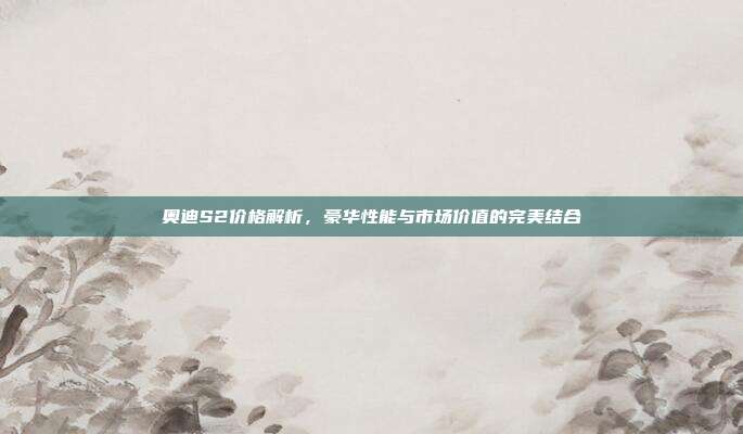 奥迪S2价格解析，豪华性能与市场价值的完美结合
