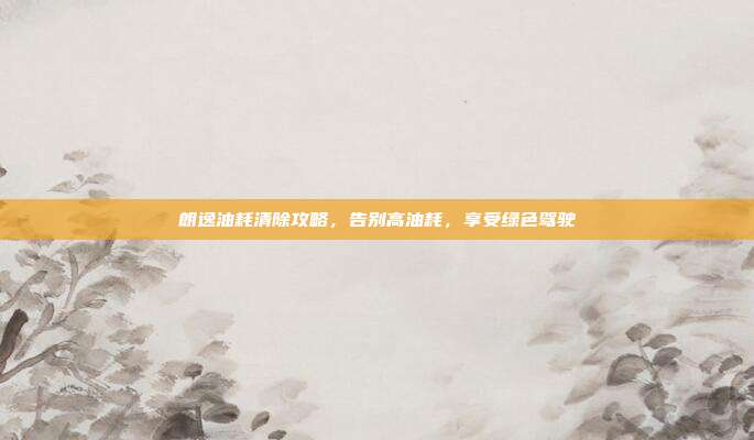 朗逸油耗清除攻略，告别高油耗，享受绿色驾驶