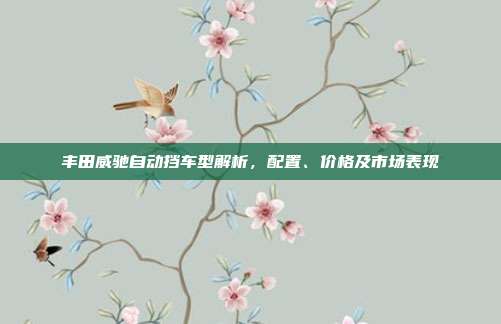 丰田威驰自动挡车型解析，配置、价格及市场表现