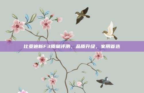 比亚迪新F3质量评测，品质升级，家用首选