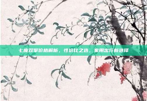 七座双擎价格解析，性价比之选，家用出行新选择
