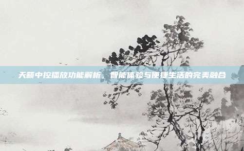 天籁中控播放功能解析，智能体验与便捷生活的完美融合