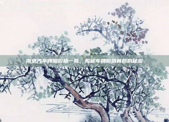 南京汽车牌照价格一览，揭秘车牌价值背后的秘密