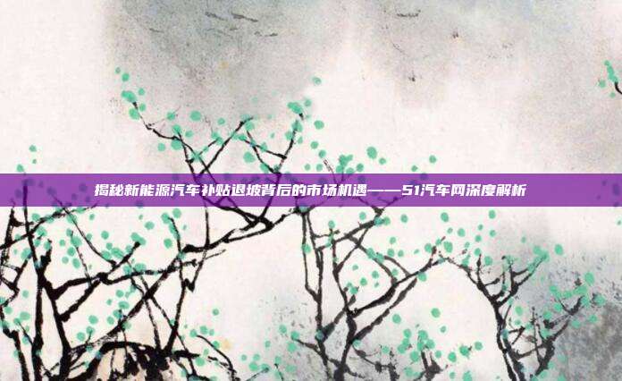 揭秘新能源汽车补贴退坡背后的市场机遇——51汽车网深度解析