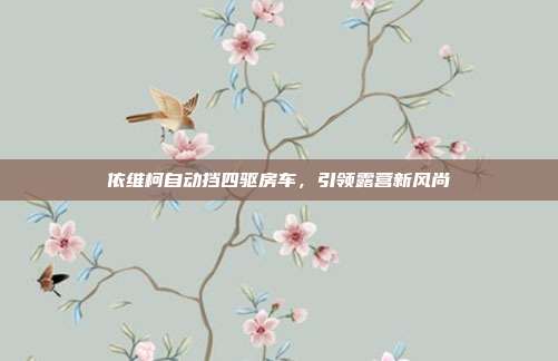 依维柯自动挡四驱房车，引领露营新风尚