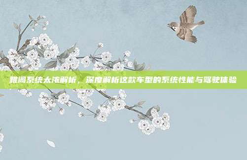 雅阁系统太浓解析，深度解析这款车型的系统性能与驾驶体验