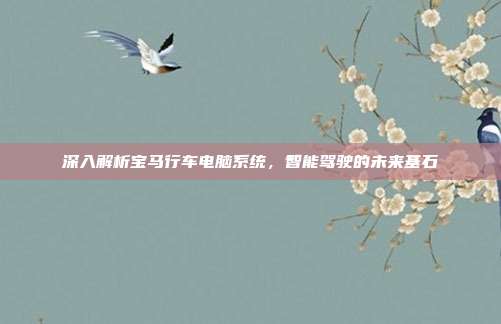 深入解析宝马行车电脑系统，智能驾驶的未来基石