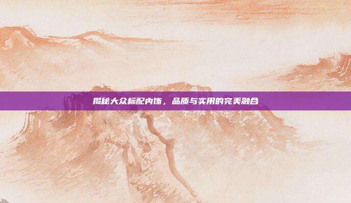 揭秘大众标配内饰，品质与实用的完美融合