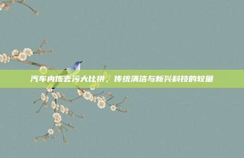 汽车内饰去污大比拼，传统清洁与新兴科技的较量