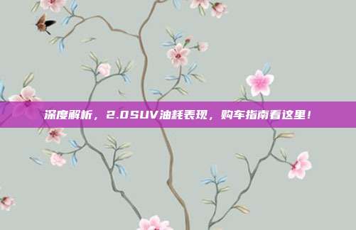 深度解析，2.0SUV油耗表现，购车指南看这里！