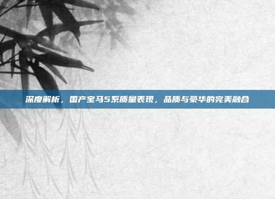 深度解析，国产宝马5系质量表现，品质与豪华的完美融合