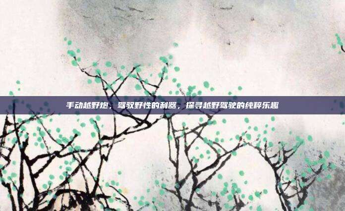 手动越野炮，驾驭野性的利器，探寻越野驾驶的纯粹乐趣