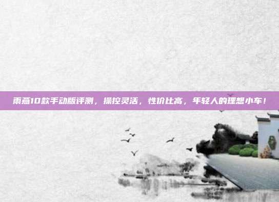 雨燕10款手动版评测，操控灵活，性价比高，年轻人的理想小车！