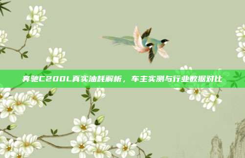 奔驰C200L真实油耗解析，车主实测与行业数据对比
