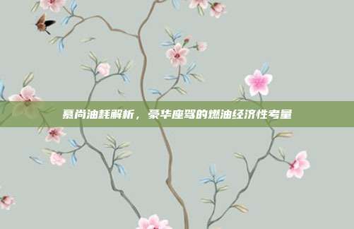 慕尚油耗解析，豪华座驾的燃油经济性考量