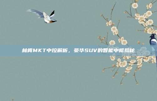 林肯MKT中控解析，豪华SUV的智能中枢揭秘