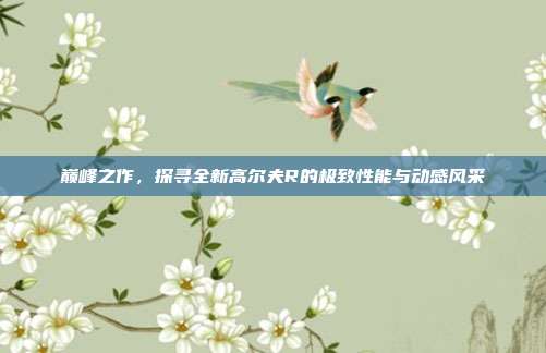 巅峰之作，探寻全新高尔夫R的极致性能与动感风采
