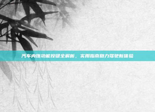 汽车内饰功能按键全解析，实用指南助力驾驶新体验