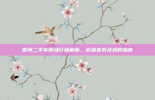 常州二手车市场行情解析，价格走势及选购指南