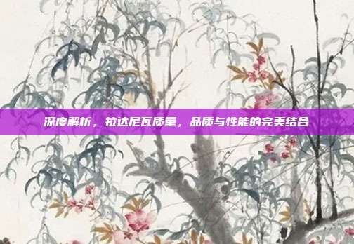 深度解析，拉达尼瓦质量，品质与性能的完美结合