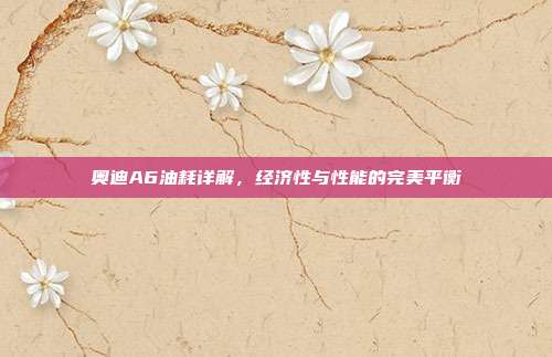 奥迪A6油耗详解，经济性与性能的完美平衡