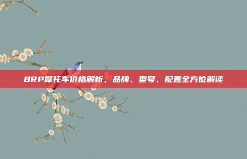 BRP摩托车价格解析，品牌、型号、配置全方位解读