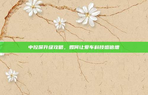 中控屏升级攻略，如何让爱车科技感倍增