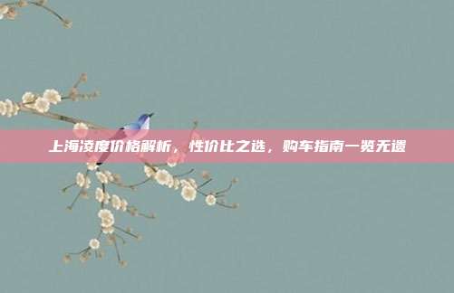上海凌度价格解析，性价比之选，购车指南一览无遗