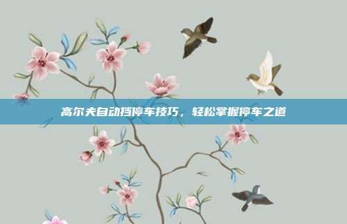 高尔夫自动挡停车技巧，轻松掌握停车之道