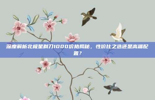 深度解析北极星剃刀1000价格揭秘，性价比之选还是高端配置？
