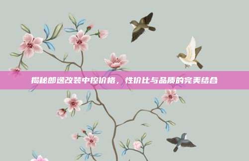 揭秘郎逸改装中控价格，性价比与品质的完美结合