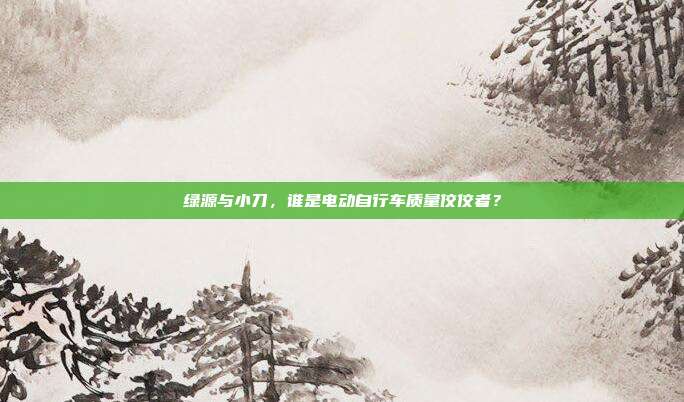 绿源与小刀，谁是电动自行车质量佼佼者？