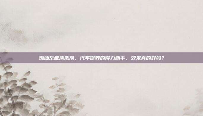 燃油系统清洗剂，汽车保养的得力助手，效果真的好吗？