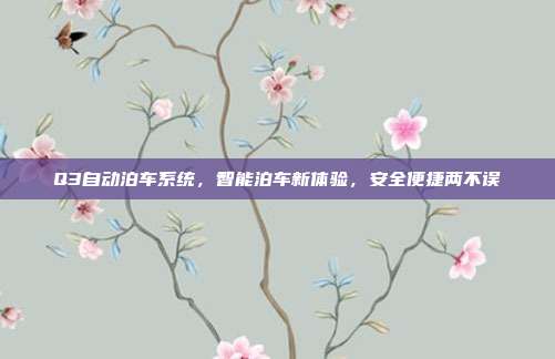 Q3自动泊车系统，智能泊车新体验，安全便捷两不误