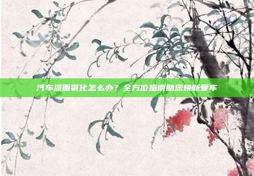 汽车漆面氧化怎么办？全方位指南助您焕新爱车