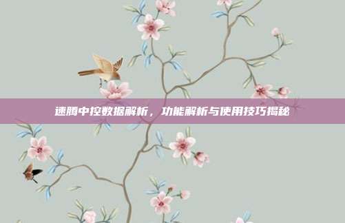 速腾中控数据解析，功能解析与使用技巧揭秘