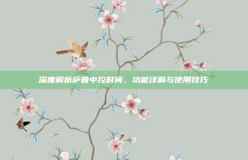 深度解析萨普中控时间，功能详解与使用技巧