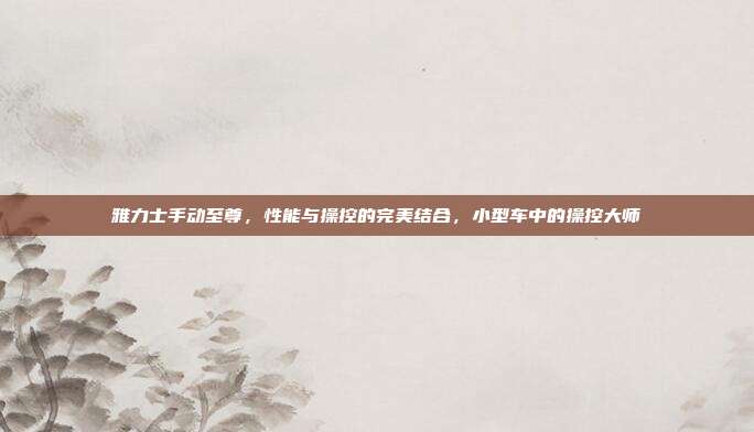 雅力士手动至尊，性能与操控的完美结合，小型车中的操控大师